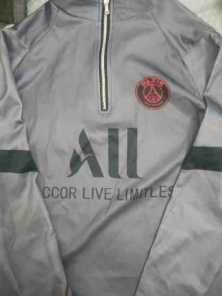 Sudadera PSG Paris Saint-Germain Gris