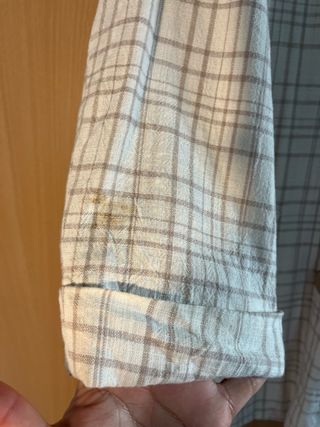 Americana ligera Stradivarius