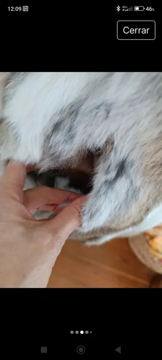 Chaleco Piel Talla S