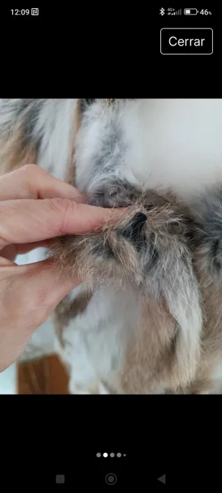 Chaleco Piel Talla S