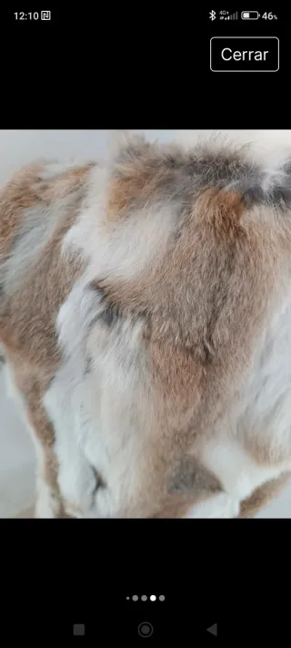 Chaleco Piel Talla S