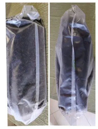 Fibra di cocco per rettili 20 Litri