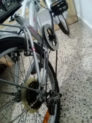 Bicicleta Paseo Plegable