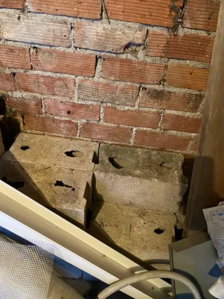 Se regalan Ladrillos de hormigón