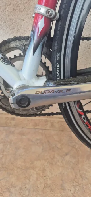 Bici carretera Orbea Lobular Talla 54