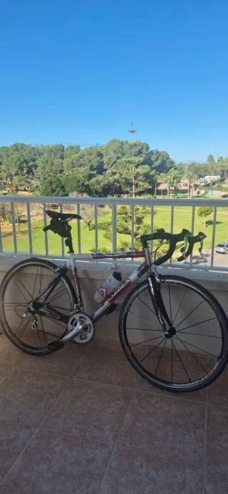 Bici carretera Orbea Lobular Talla 54