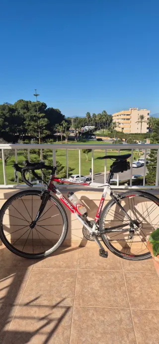 Bici carretera Orbea Lobular Talla 54