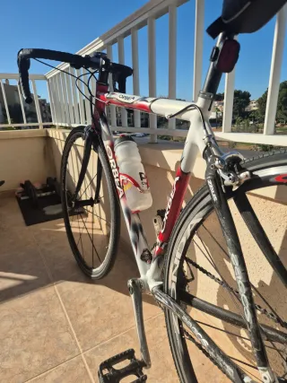 Bici carretera Orbea Lobular Talla 54
