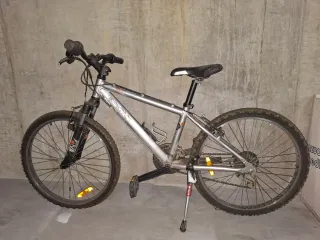 Bicicleta de montaña plateada