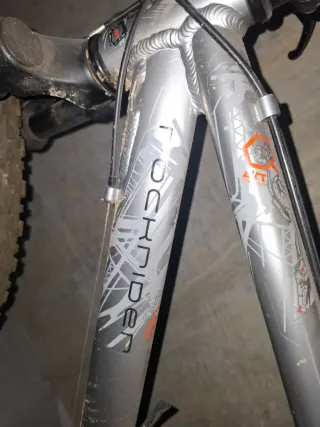 Bicicleta de montaña plateada