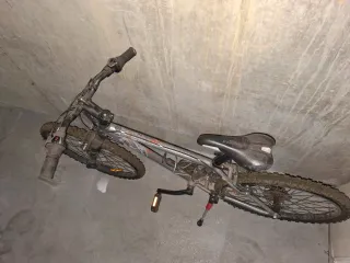 Bicicleta de montaña plateada