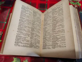 Dizionario Tedesco-Italiano 1899