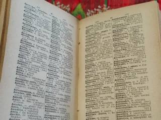 Dizionario Tedesco-Italiano 1899