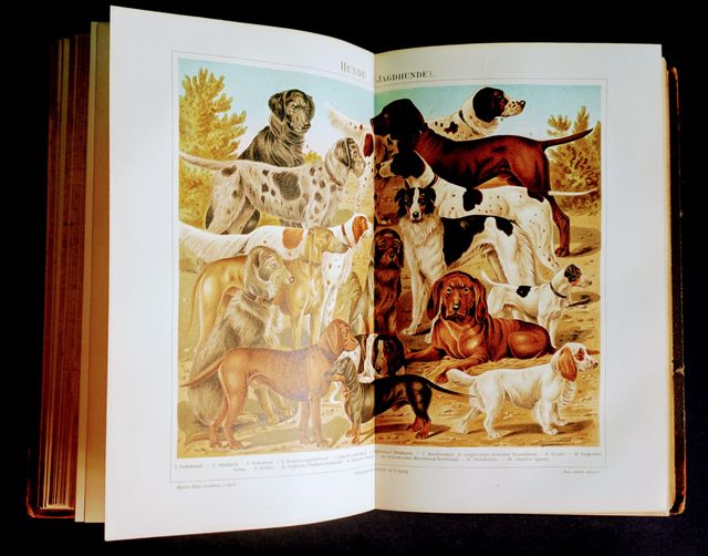 Lexicon de Mayers 1893