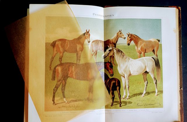 Lexicon de Mayers 1893