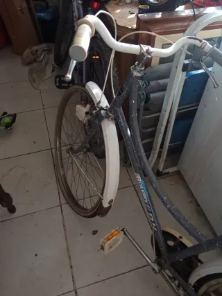 Bicicleta Clásica
