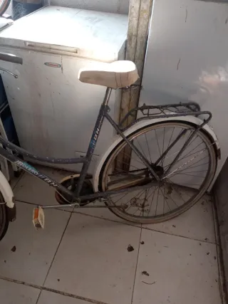 Bicicleta Clásica