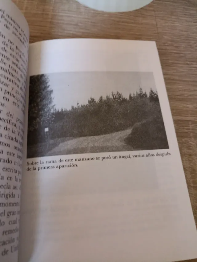 Y el agua seguirá curando ... apariciones de la...