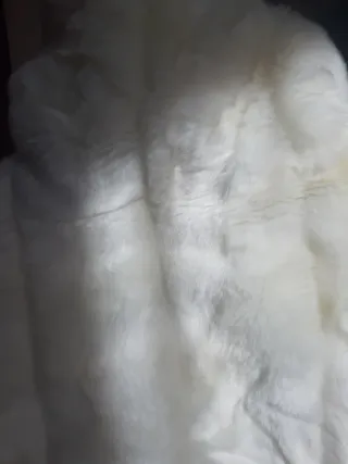 Chaqueta pelo sintético tipo bolero.