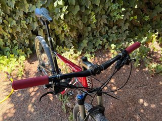Giant Anthem 29 L doble suspensión + tubeless