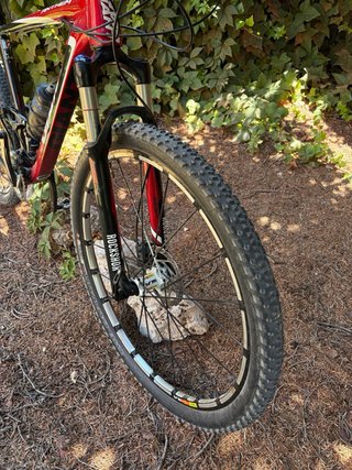 Giant Anthem 29 L doble suspensión + tubeless