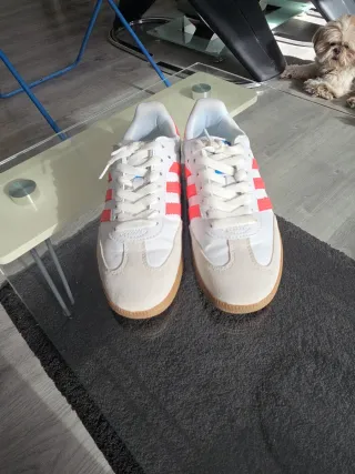 Adidas Samba Blancas y coral