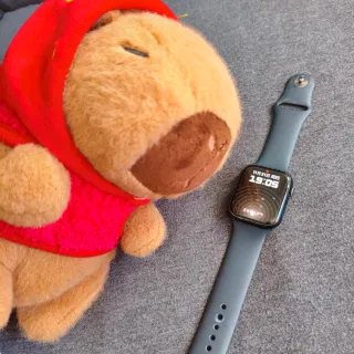 iPad 9, Apple Watch Serie 8 45mm, Apple Pencil 1