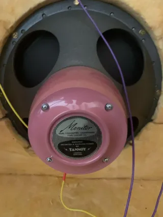 Tannoy Monitor LSU/HF/15 con filtro