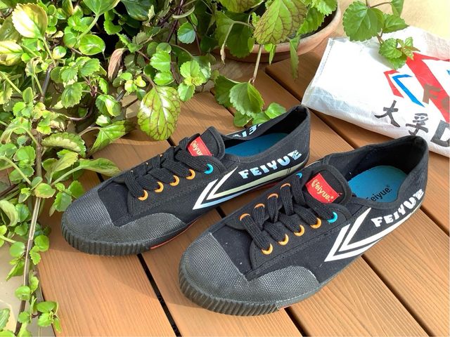 Feiyue 1920 Zapatillas Lona Multicolor