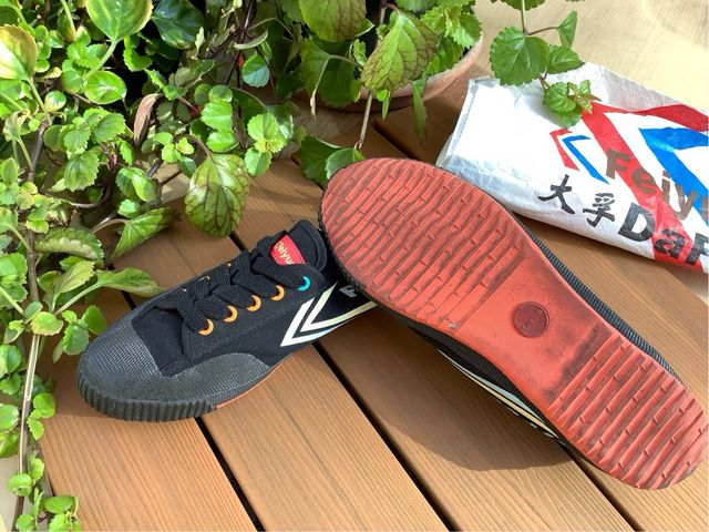 Feiyue 1920 Zapatillas Lona Multicolor