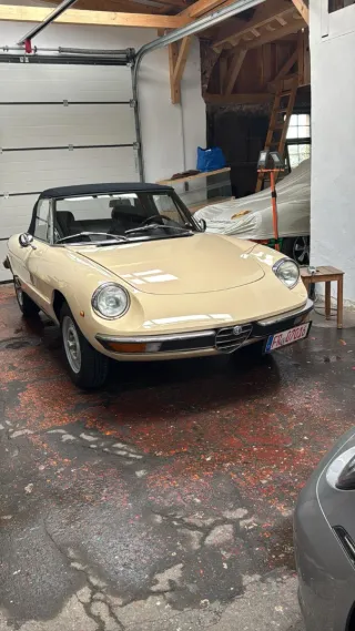 Alfa Romeo Spider 1981