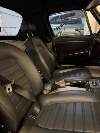 Alfa Romeo Spider 1981