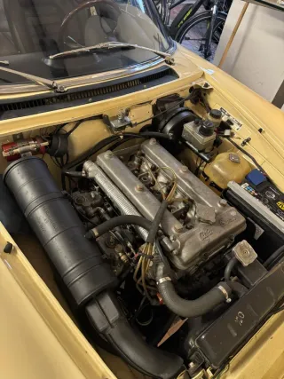 Alfa Romeo Spider 1981