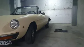 Alfa Romeo Spider 1981