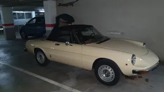 Alfa Romeo Spider 1981