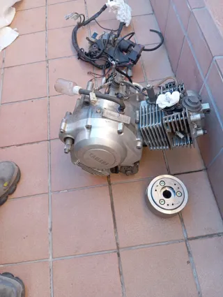 Motor Yamaha YBR 125 con cableado