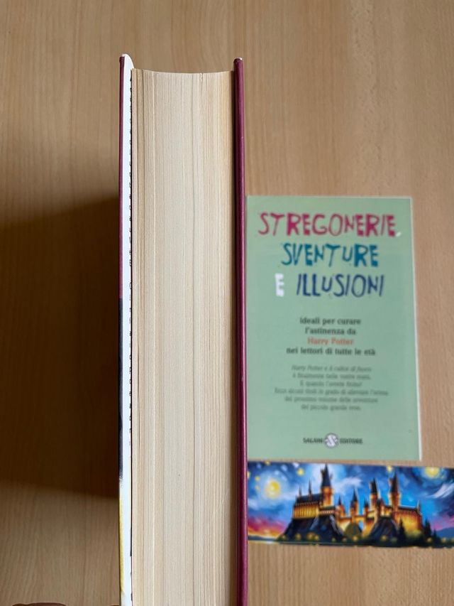 Harry Potter e il calice di fuoco febbraio 2001