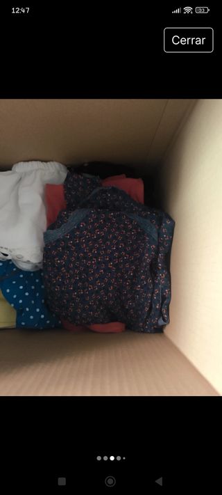 Lote Ropa Mujer +50 Prendas Varias Marcas