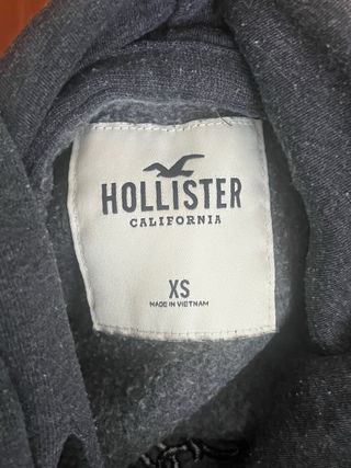 Sudadera Hollister niño gris y blanco