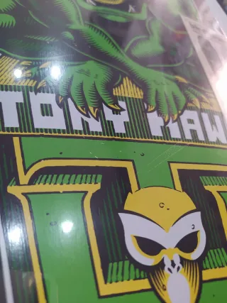 Tabla Skate Old School Birdhouse Gargoyle 9,75'