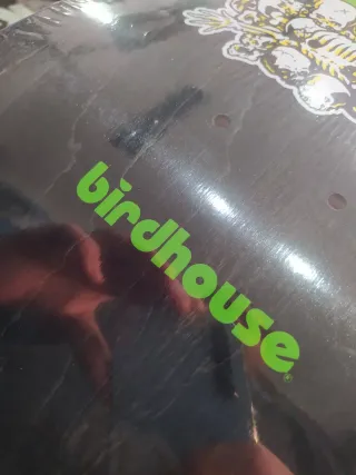 Tabla Skate Old School Birdhouse Gargoyle 9,75'