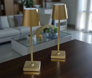 2 Lampade LED Ricaricabili Oro