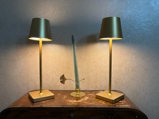 2 Lampade LED Ricaricabili Oro