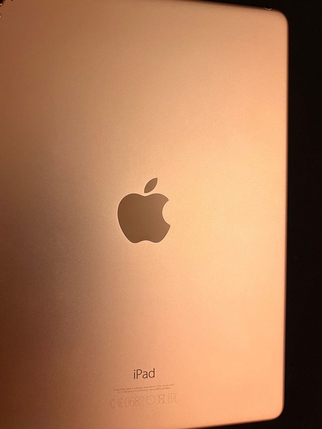 iPad Pro 9.7 Wi-Fi 256 GB Oro Rosa