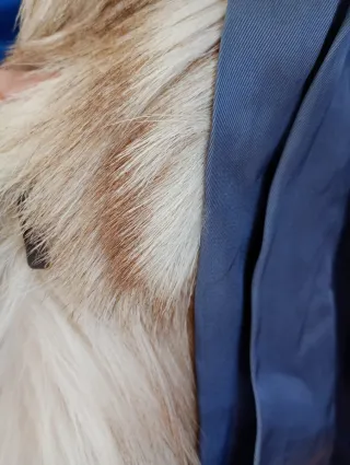 Abrigo vintage pelo beige y marrón