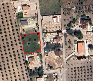 Parcela rústica en Arcos de la Frontera