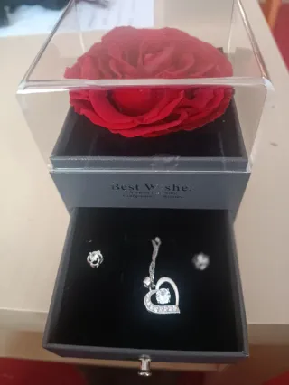 Cajita Rosa Preservada Pendientes Colgante