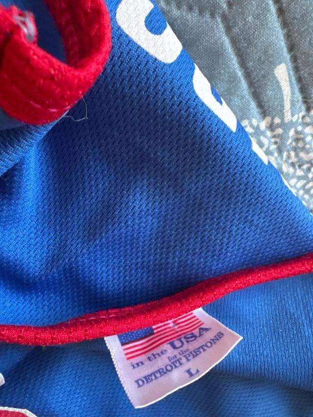 Camiseta Detroit Pistons 89