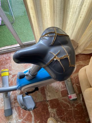 Bicicleta Estática Gris y Azul