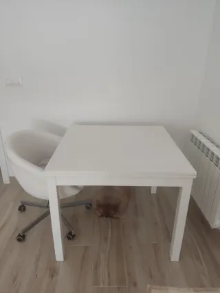 Tavolo estensibile bianco per sala da pranzo/cucina